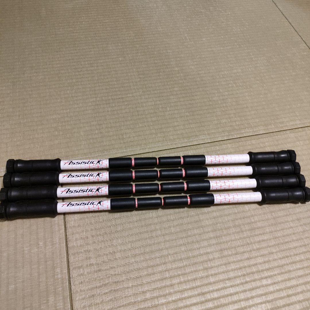 LPN正規品】アシスティック® 1本 - メルカリ