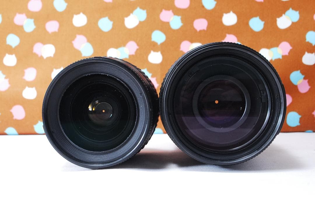 ✨ショット数6395回✨初心者オススメ✨Nikon D80 ダブルレンズセット