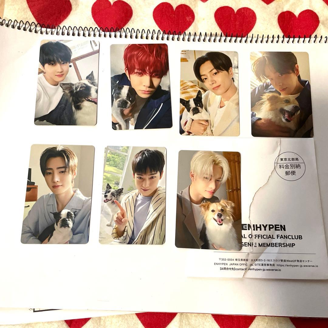 ENHYPEN FC限定 アンケートトレカ特典 エナプ コンプ 2025 - メルカリ