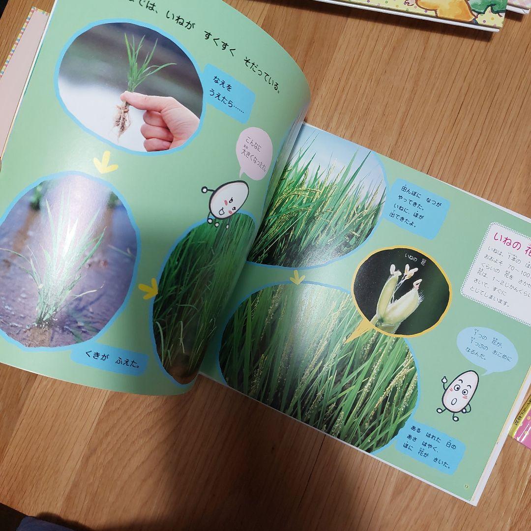 食育えほん チャイルド本社 たべるのだいすき12冊 - メルカリ