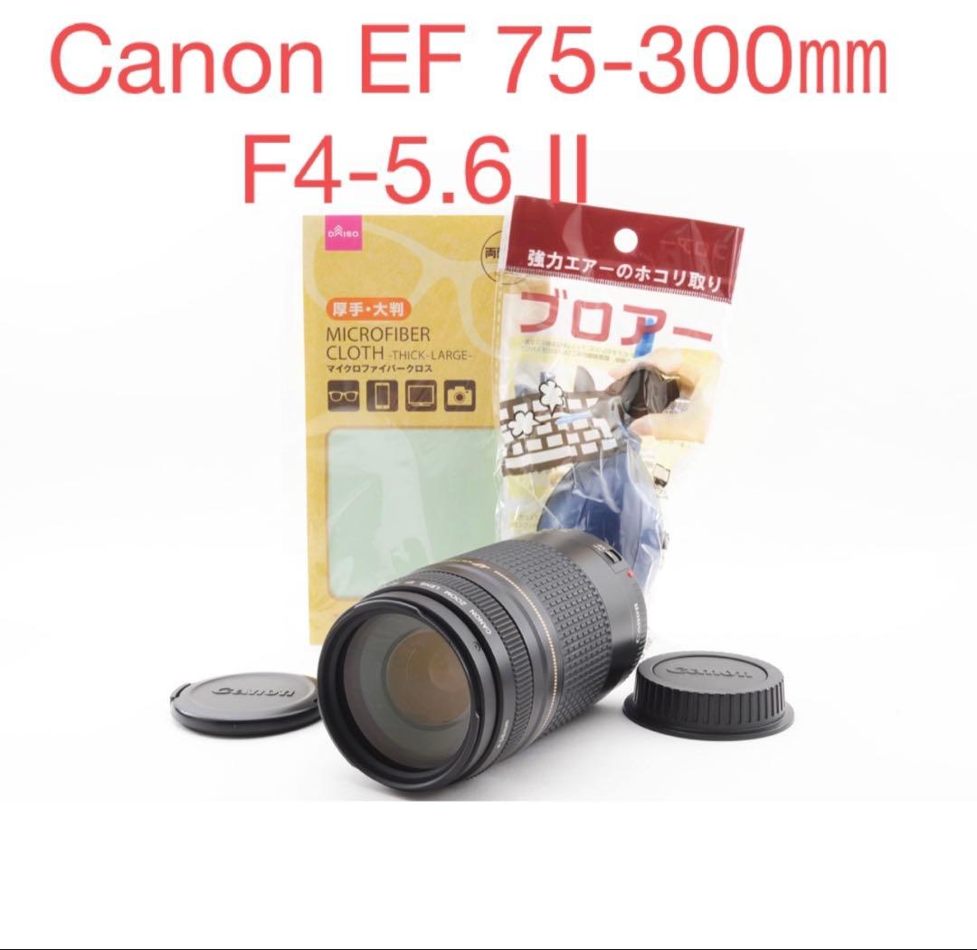デジタル一眼レフカメラCANON EF 75-300㎜F4-5.6 Ⅱ USM EF75-300mm F4-5.6 II USM - キヤノンカメラミュージアム