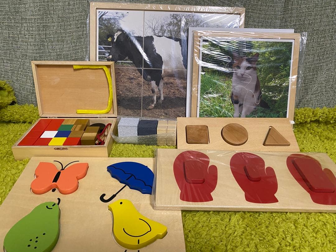 最終価格:自閉症 発達障害児 教育診断検査 三訂版 PEP-3