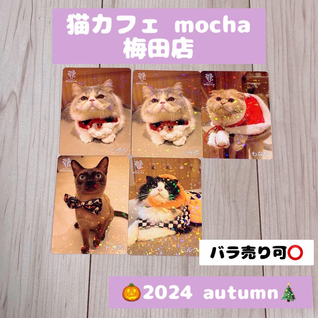 猫カフェmocha 梅田店 2024秋トレカ(バラ売り可⭕️) - メルカリ