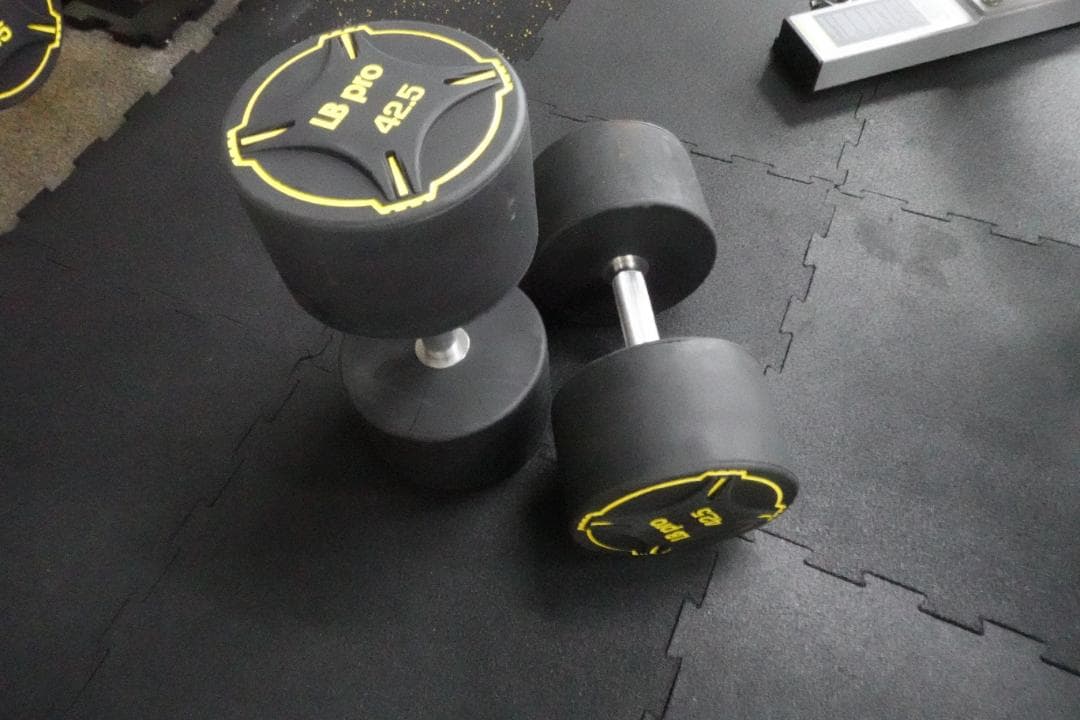 TPUダンベル　22.5kg  2個