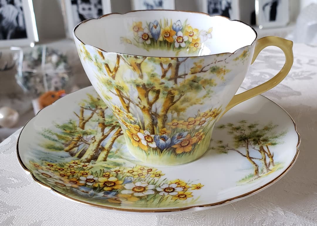 シェリー ⑤ ダフォディルタイム 水仙 風景画 カップ ビンテージ