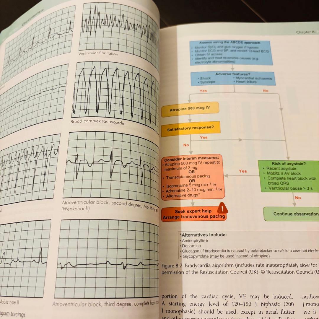 洋書•英語】 Fundamentals of Anaesthesia 4th - メルカリ