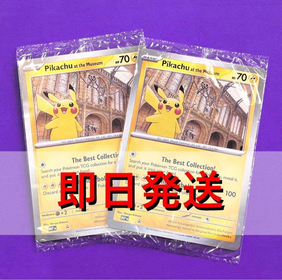 2枚セット Pikachu at the Museum ピカチュウ 自然史博物館 - メルカリ