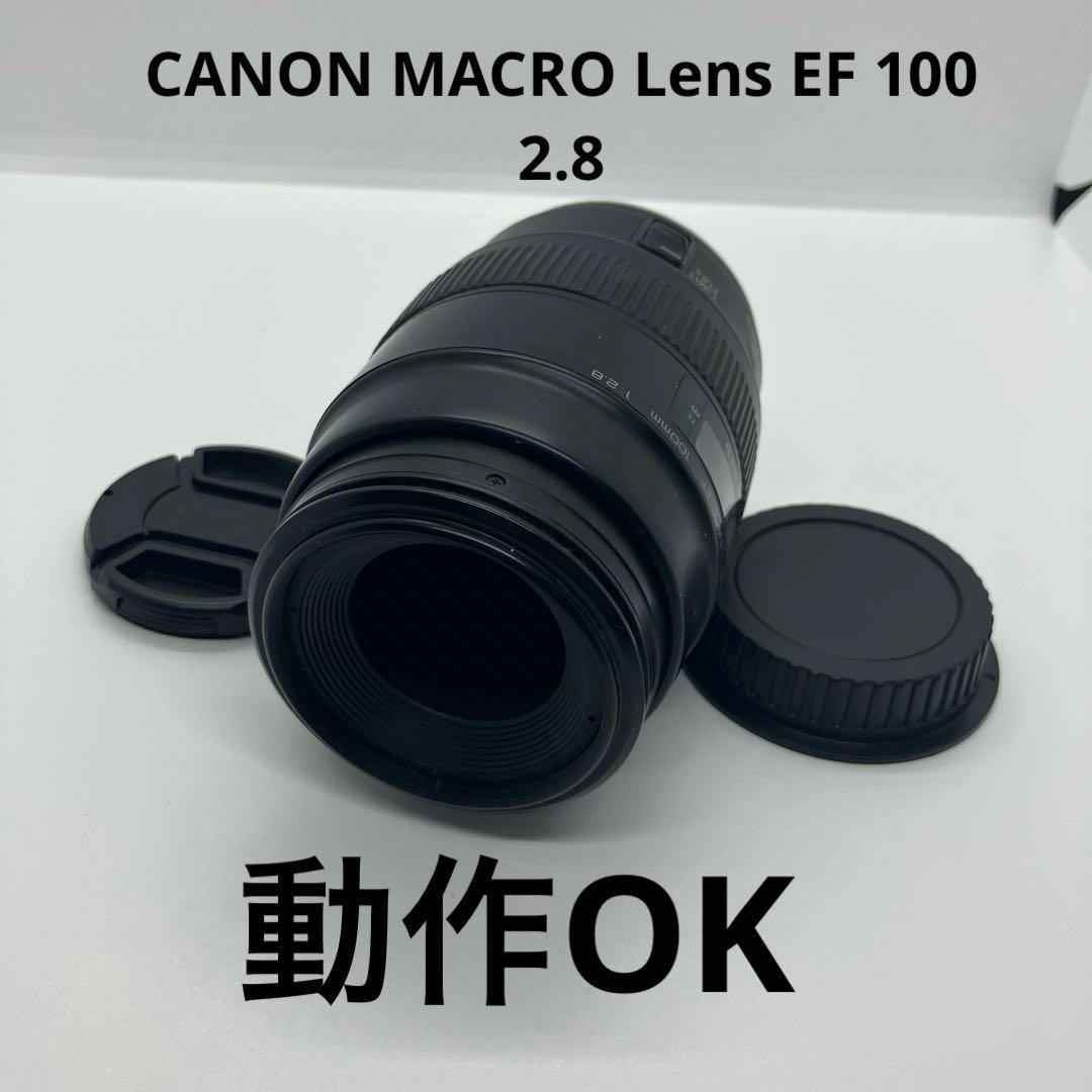 CANON MACRO Lens EF 100 2.8 動作OK Amazon.co.jp: Canon 単焦点マクロレンズ EF100mm F2.8 マクロ USM