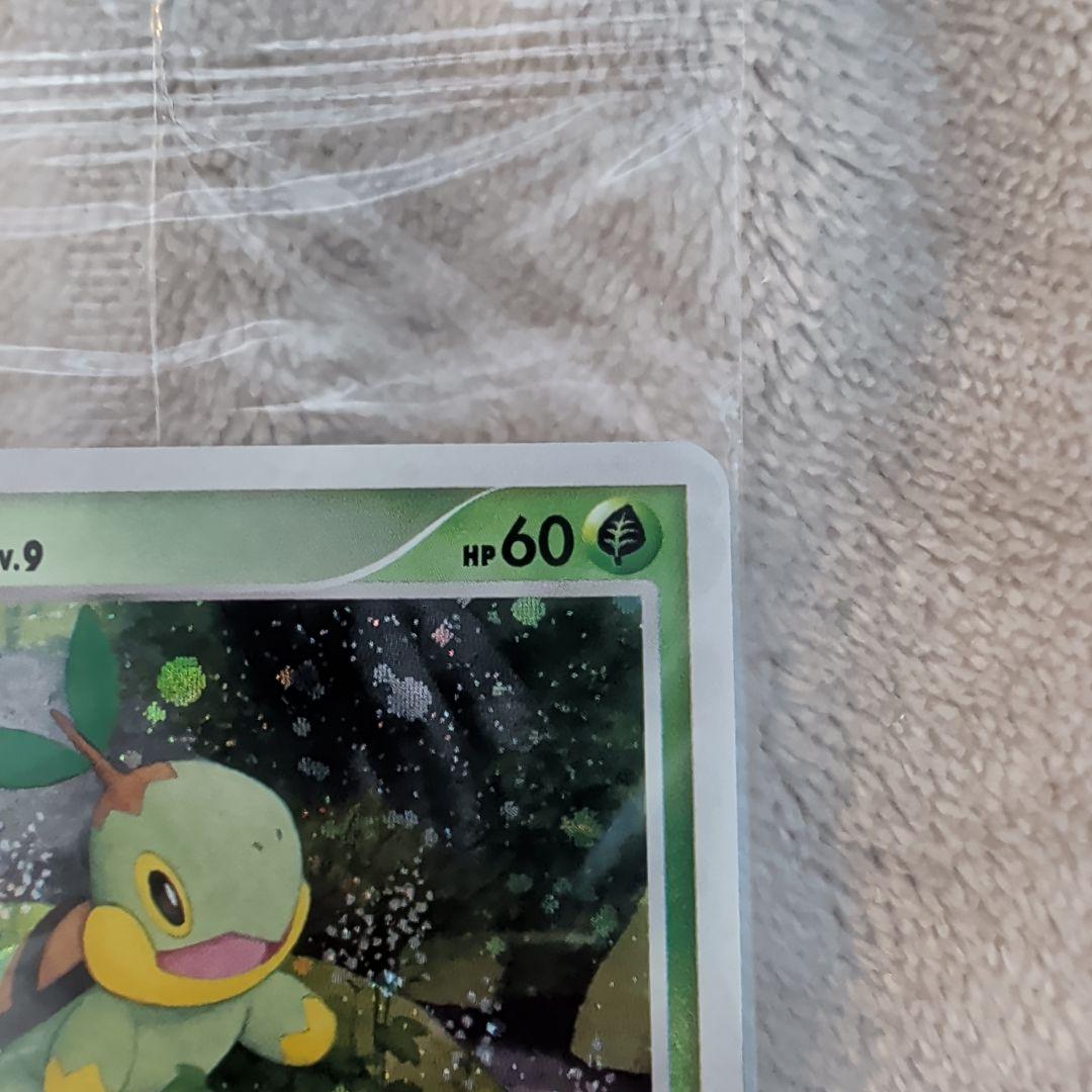 【未開封】トレーナズクラブプロモ　ナエトル　マナフィ　セット