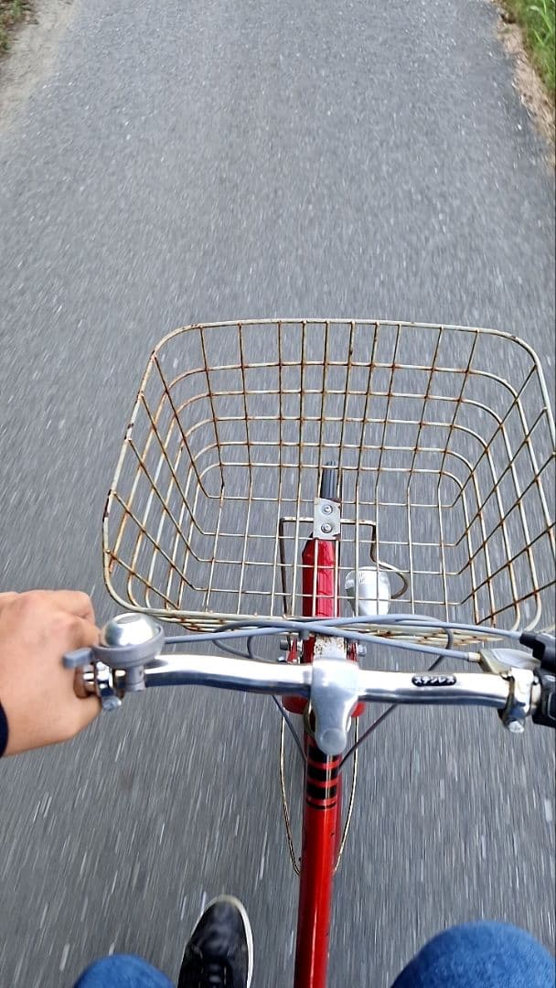 赤いシティサイクル 前面バスケット付き 楽天市場】【完組配送】【組立・整備済み・完成車でお届け】自転車