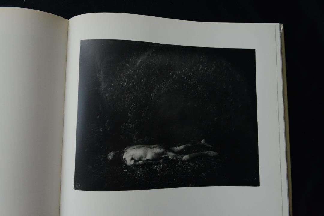 What Remains:： Sally Mann 】サリー・マン写真集 - メルカリ