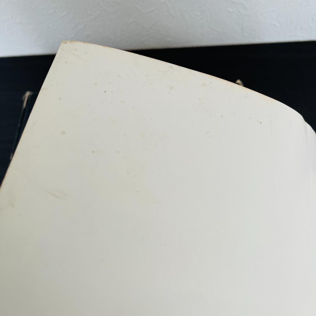 若林のぶゆき 写真集 セット アッ とびだした女たち アダムとイヴ