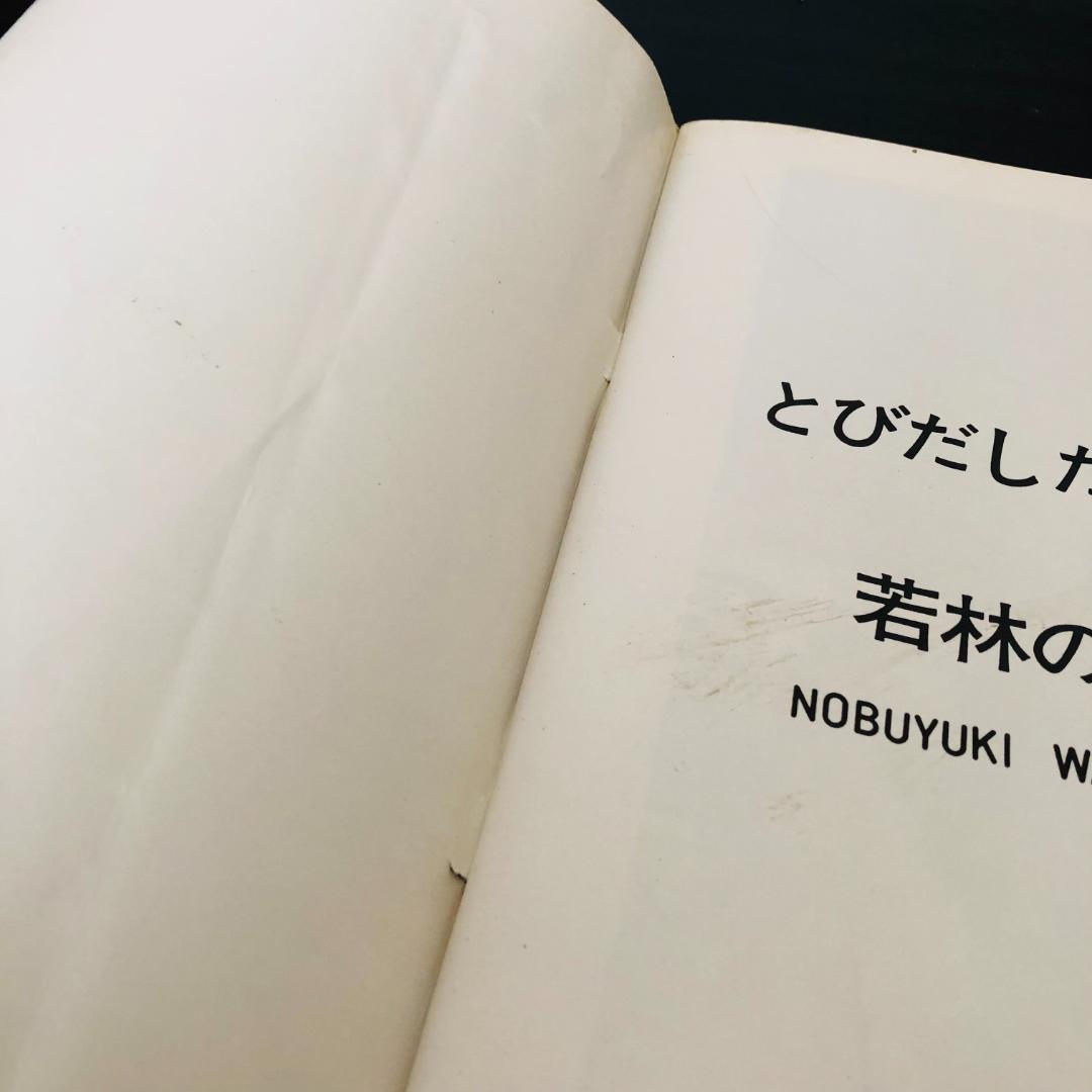 若林のぶゆき 写真集 セット アッ とびだした女たち アダムとイヴ