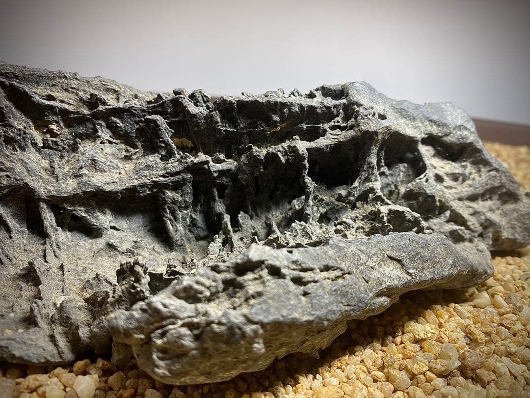 4222 佐治川石《希少》 水石 盆栽 盆石 置物 鑑賞石