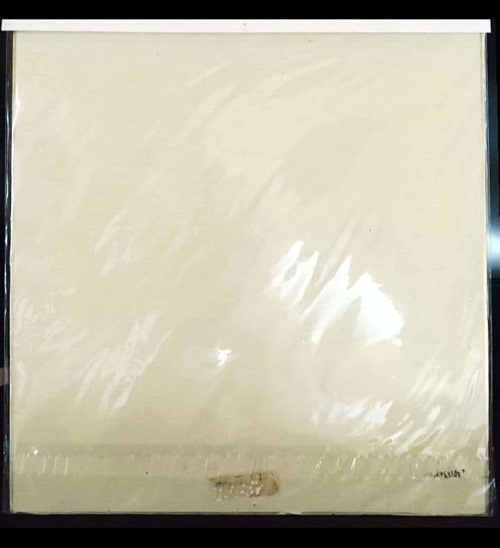 阿部慎之助 中央大学時代 直筆サイン - メルカリ