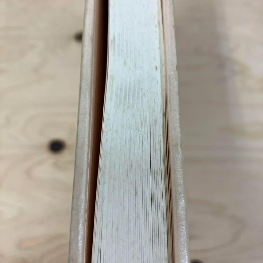 arakakiさま専用okinawan portraitsと絶景のポリフォニー - メルカリ