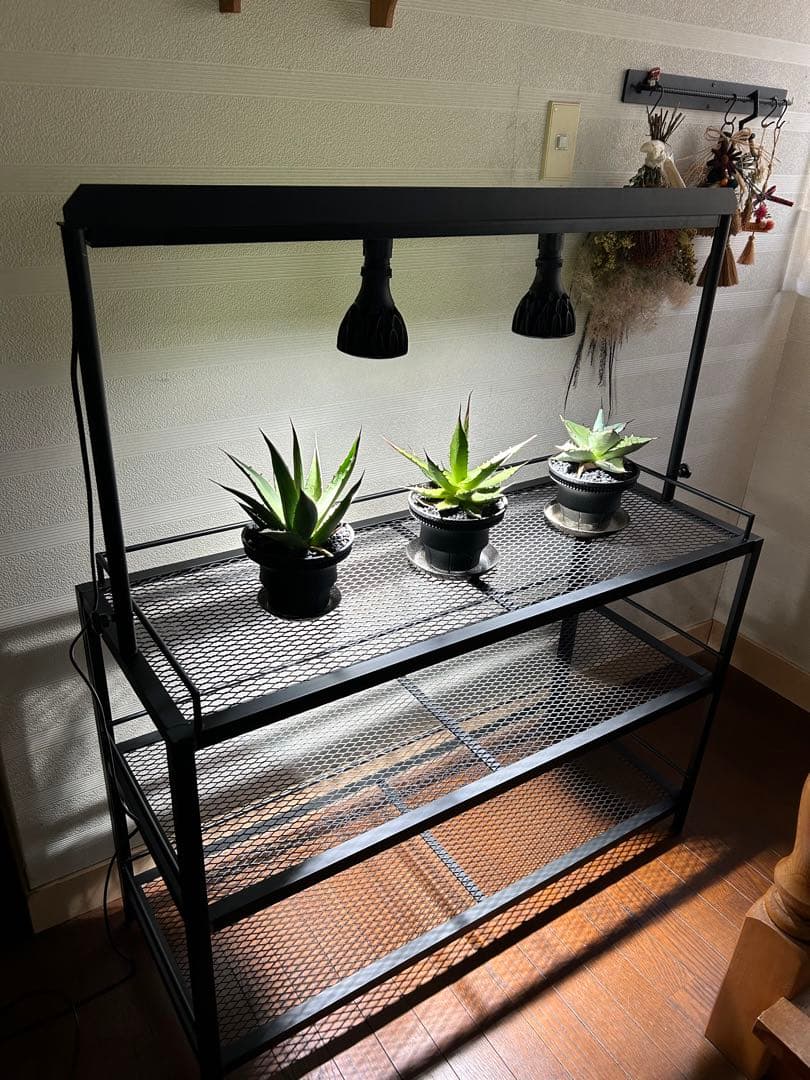 ☆送料込み☆アイアンシェルフ即購入OK 植物棚 ボタニカルシェルフ