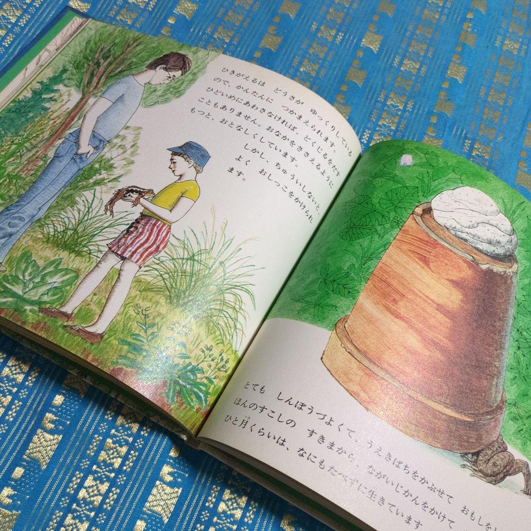 初版 絶版 ひきがえる 絵本 福音館書店 1976年 - メルカリ