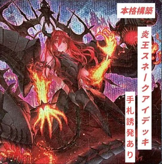 新制限対応【炎王スネークアイ本格構築済みデッキ】 メイン40枚 EX15枚