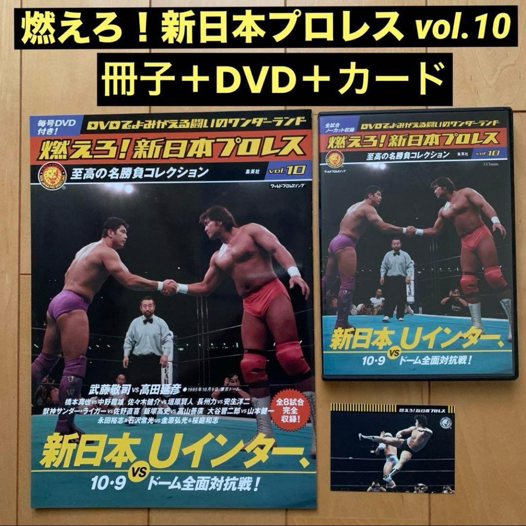 燃えろ！新日本プロレス vol.10 新日本VS Uインター ドーム全面対抗戦