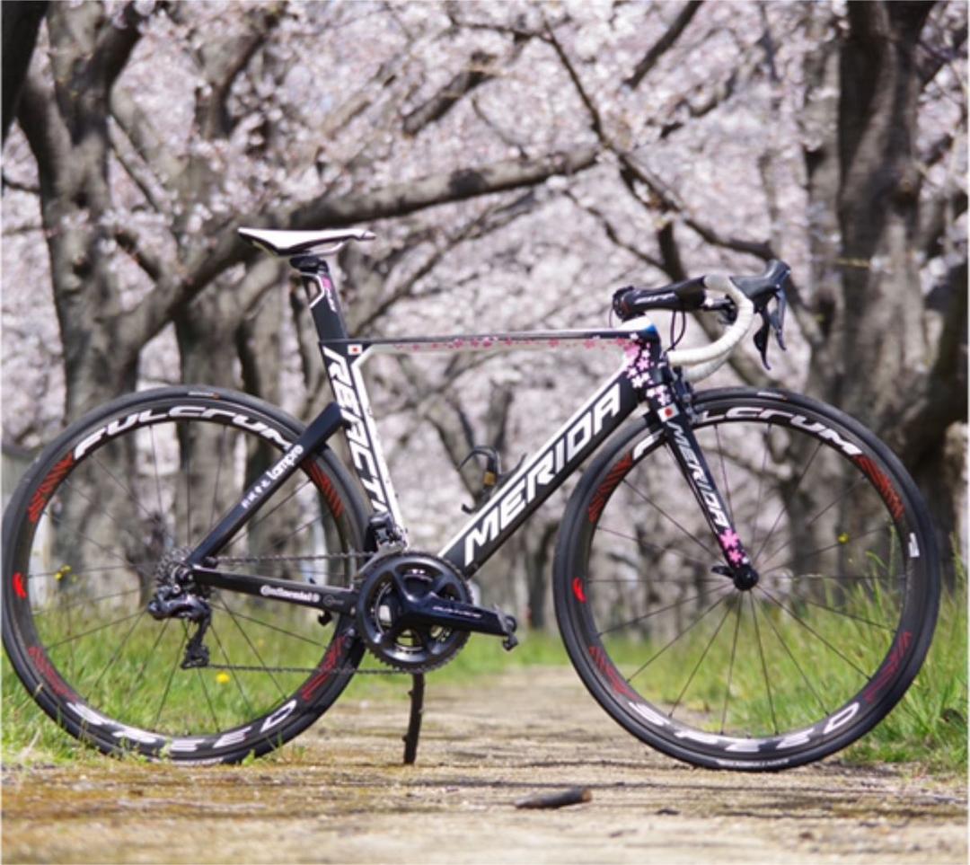 メリダ REACTO TEAM E 桜リアクト - メルカリ