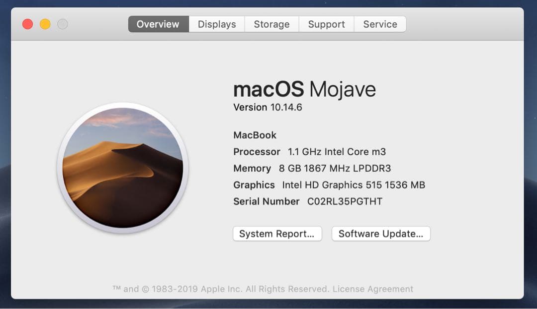 MacBook本体 MacBook Retina A1534 Early2016 m3/8/256