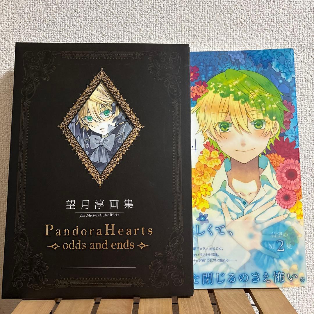 単品可】PandoraHearts パンドラハーツ 望月淳 画集セット - メルカリ