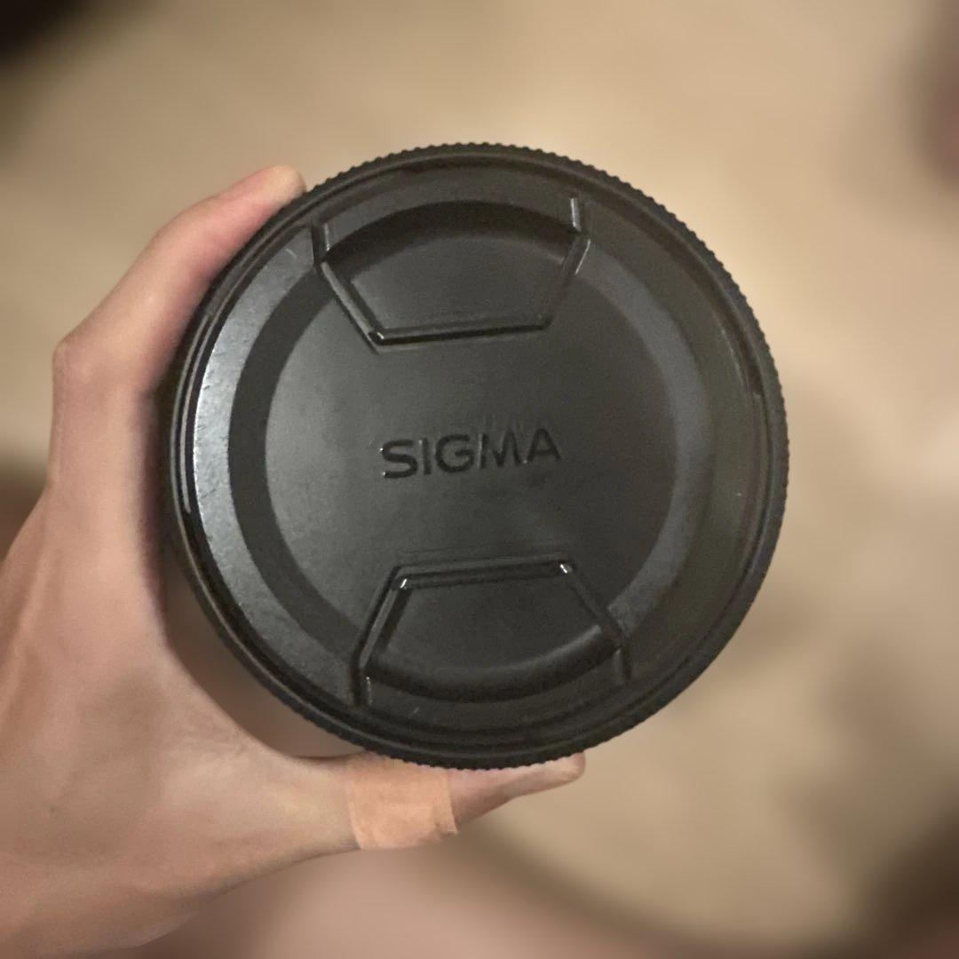 レンズ(ズーム) SIGMA 50-500mm F4.5-6.3 APO DG OS