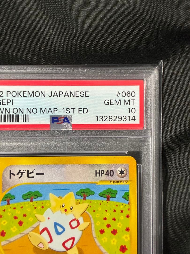 世界73枚 PSA10 トゲピー カードe 2002 060 3の通販｜m2