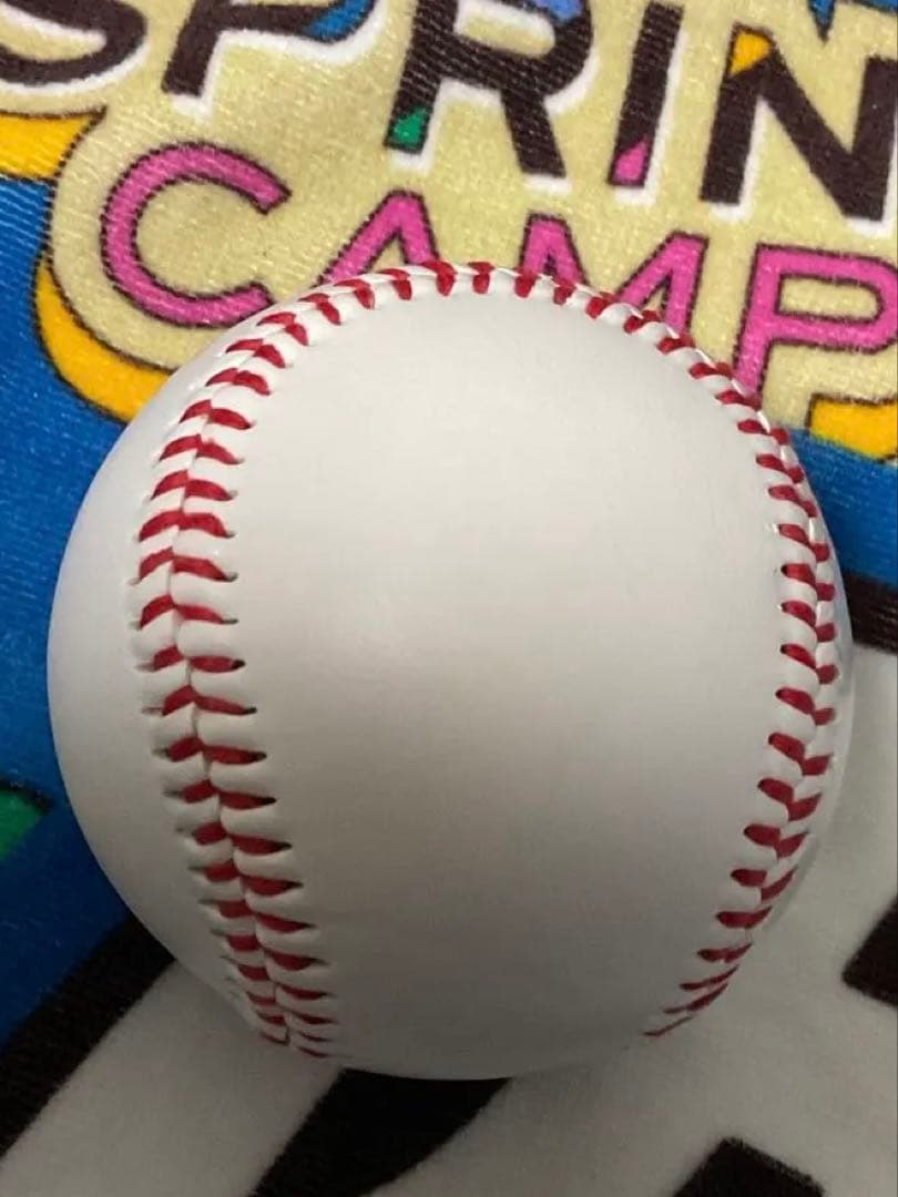 達孝太 北海道日本ハムファイターズ 直筆サインボール 春季キャンプ