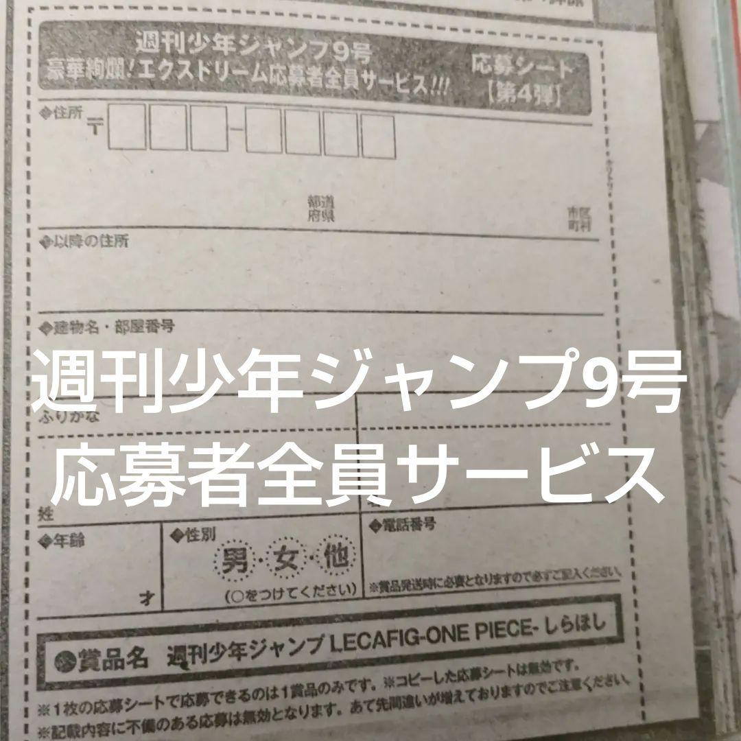 週刊少年ジャンプ 9号 全員サービス 応募シート 1枚 ワンピース しら
