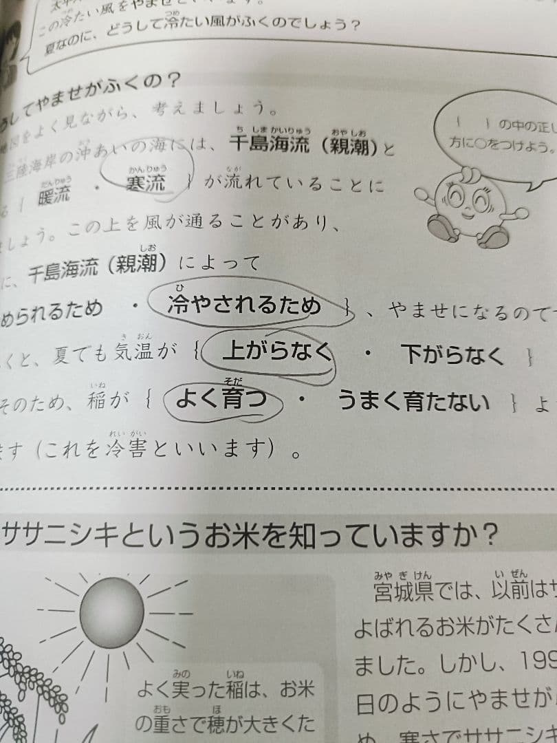 2025) サピックス 3年 社会 デイリーサピックス - メルカリ
