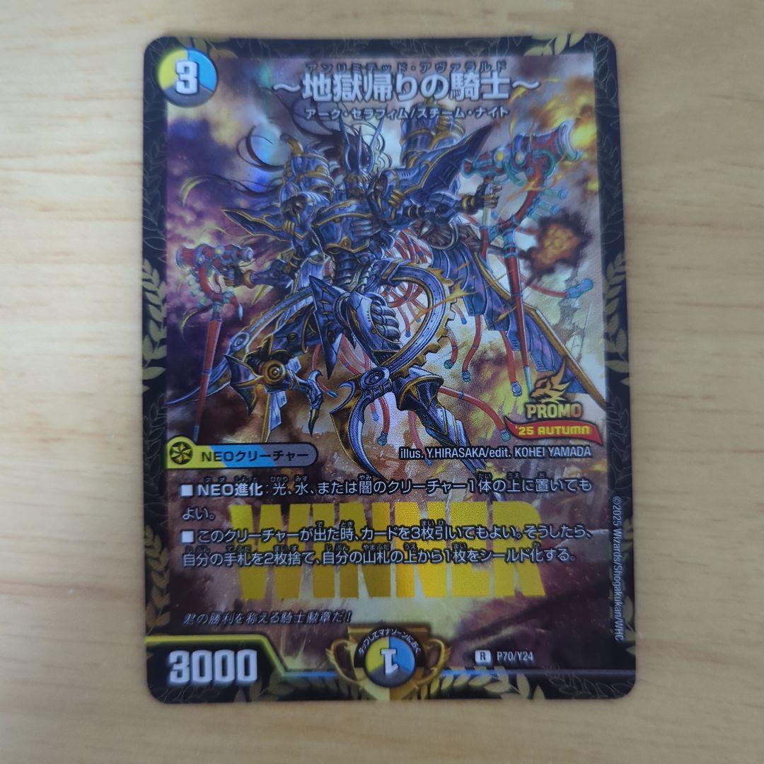 地獄帰りの騎士～ アンリミテッド・アヴァラルド プロモ - メルカリ