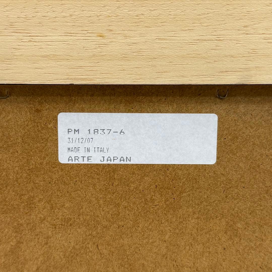 H17K49 イタリア製 ARTE JAPAN アルテジャパン ウォールミラー - メルカリ