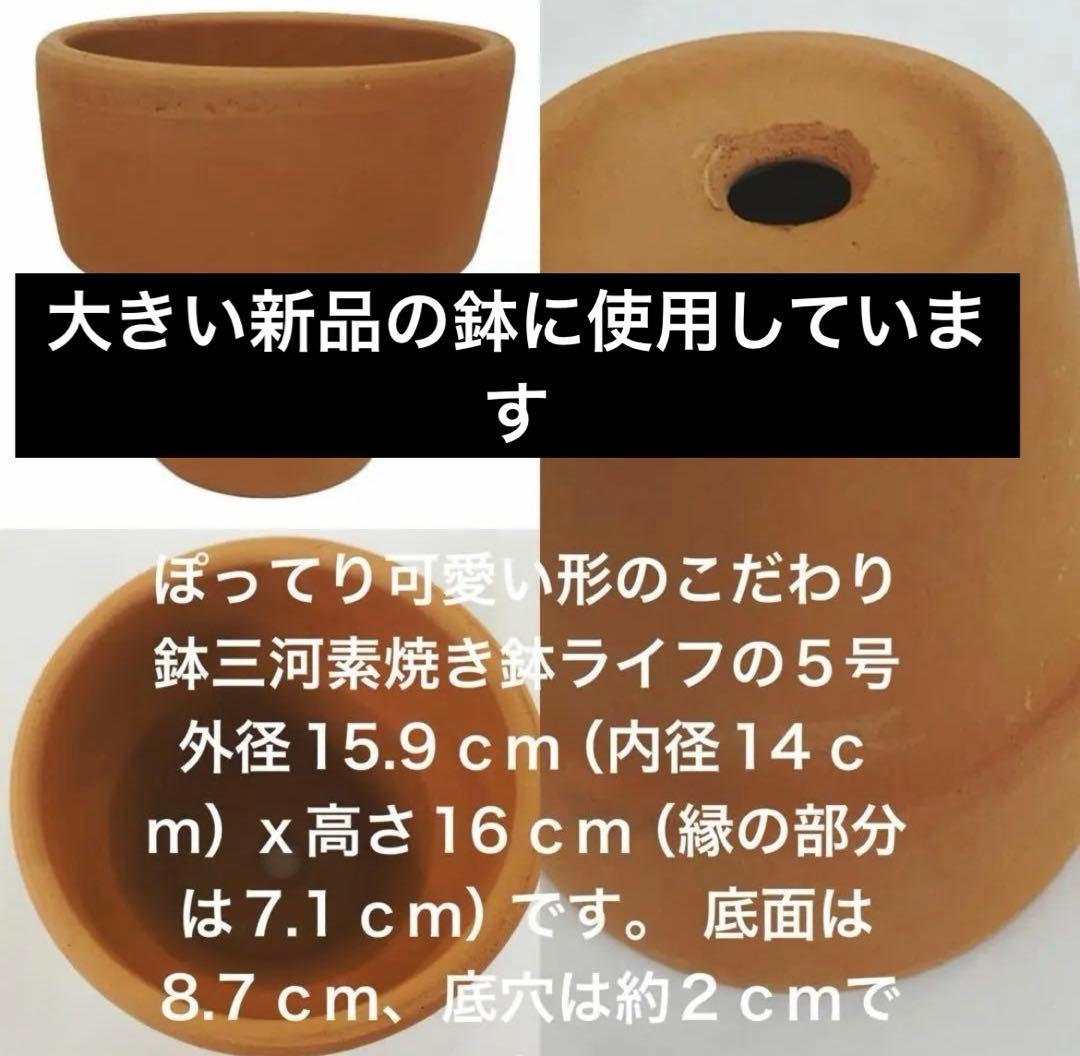 No.760 h&a様　14日までお取り置き　2,980yen