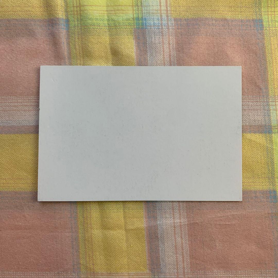 ジョングク BTS サノク フォト SPRING DAY 春の日 - メルカリ