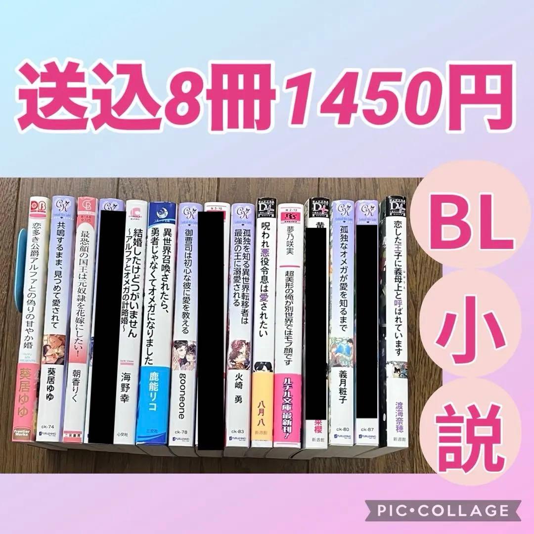 BL小説 セット バラ売りOK - メルカリ