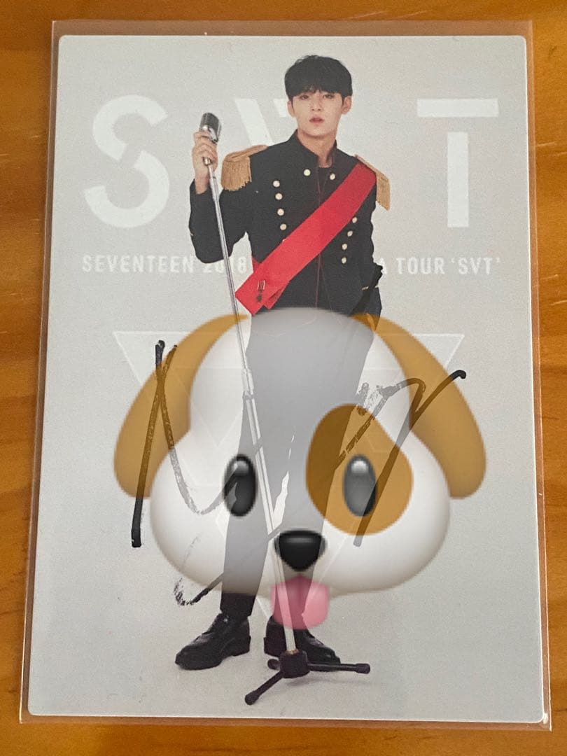 SEVENTEEN セブチ ミンギュ サイン入りトレカ アリーナツアー SVT