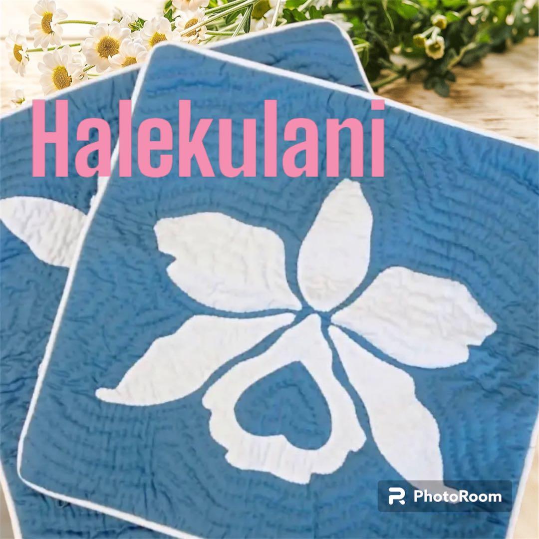 クッションカバー　2枚組　ハレクラニ　Halekulani ハワイアンキルト タオルクッション ハワイアンキルト柄 ハレハワイシリーズ #239b