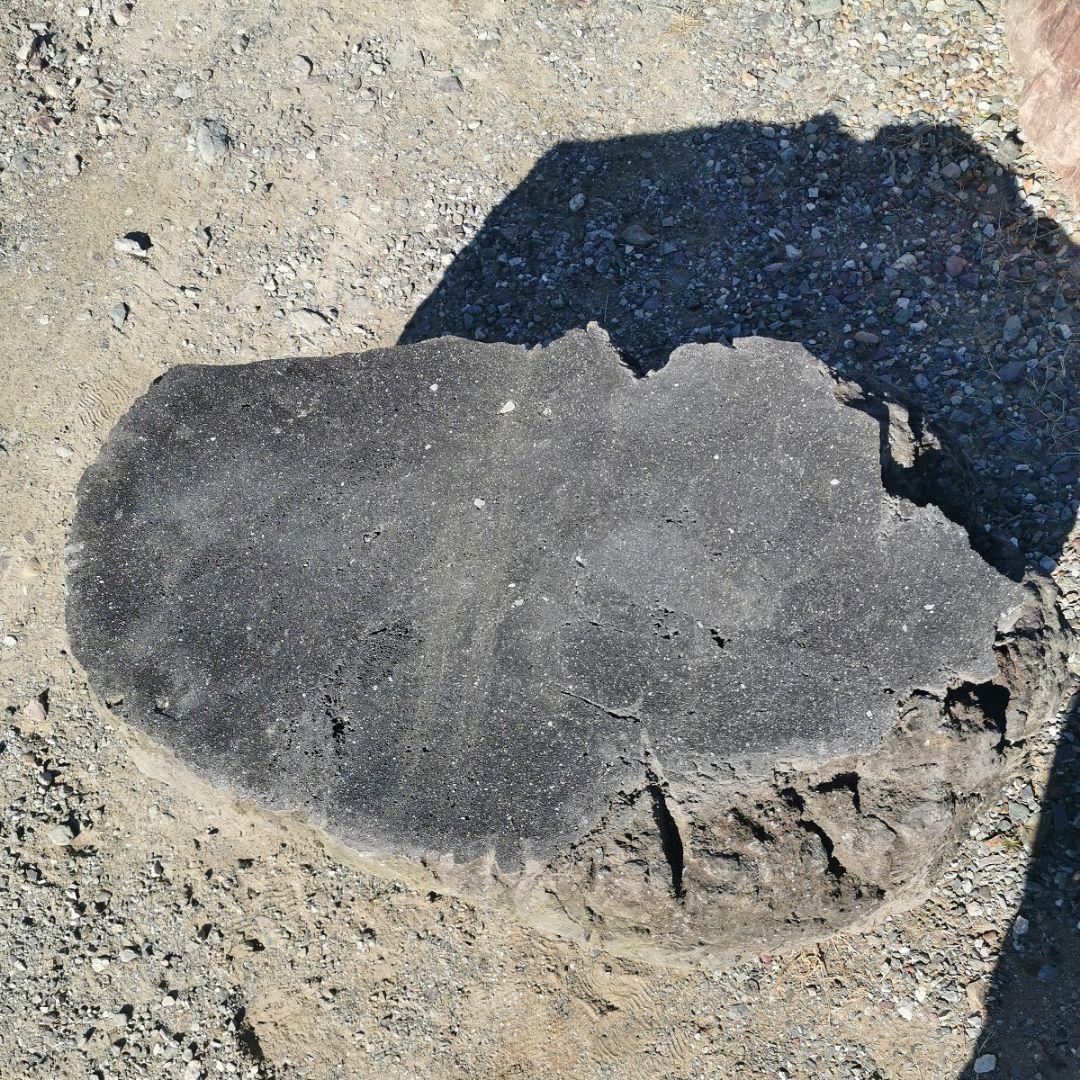 浅間 溶岩石 台石 155キロ 庭石 石 鑑賞石 庭 坪庭 ガーデニング