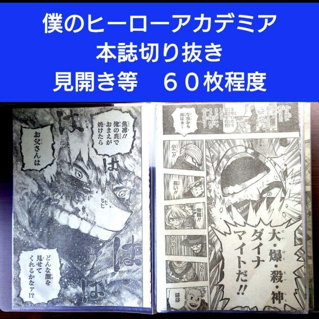 僕のヒーローアカデミア 本誌 切り抜き カラー 爆豪勝己 轟焦凍