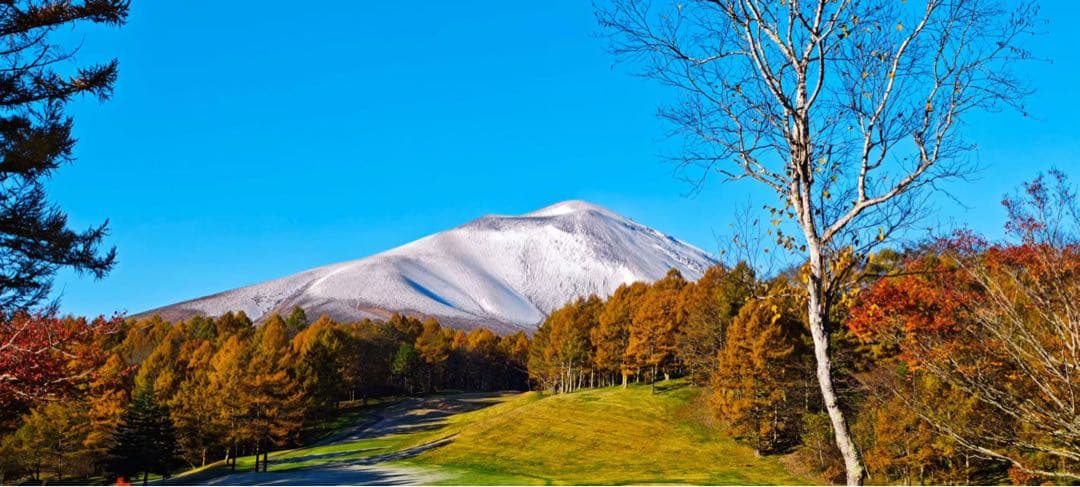 KVK 浄水カートリッジ PZS160 30本 ミミリン 楽天市場】KVK 浄水器内蔵水栓 浄水カートリッジ 1個入 PZS160（従来