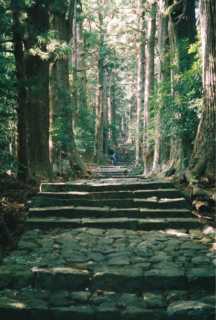 要OH Leica iiia キャノン100mm f3.5 インダスター22