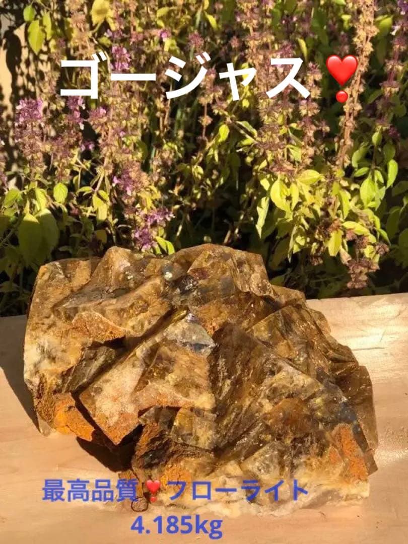 最高品質のフローライトゴールドの輝きがとてもゴージャスです‼️大特価SALE 71Q-5wPw8wL._AC_UF894,