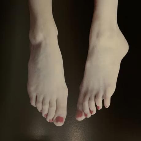 Galateas /Carla Van de Puttelaar☆値下げしました - メルカリ