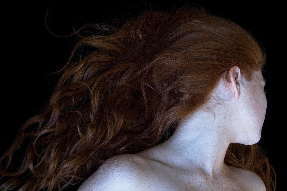 Galateas /Carla Van de Puttelaar☆値下げしました - メルカリ