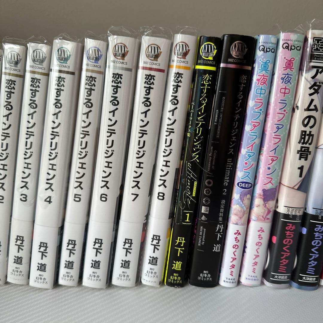 BL   人気漫画セット　37冊