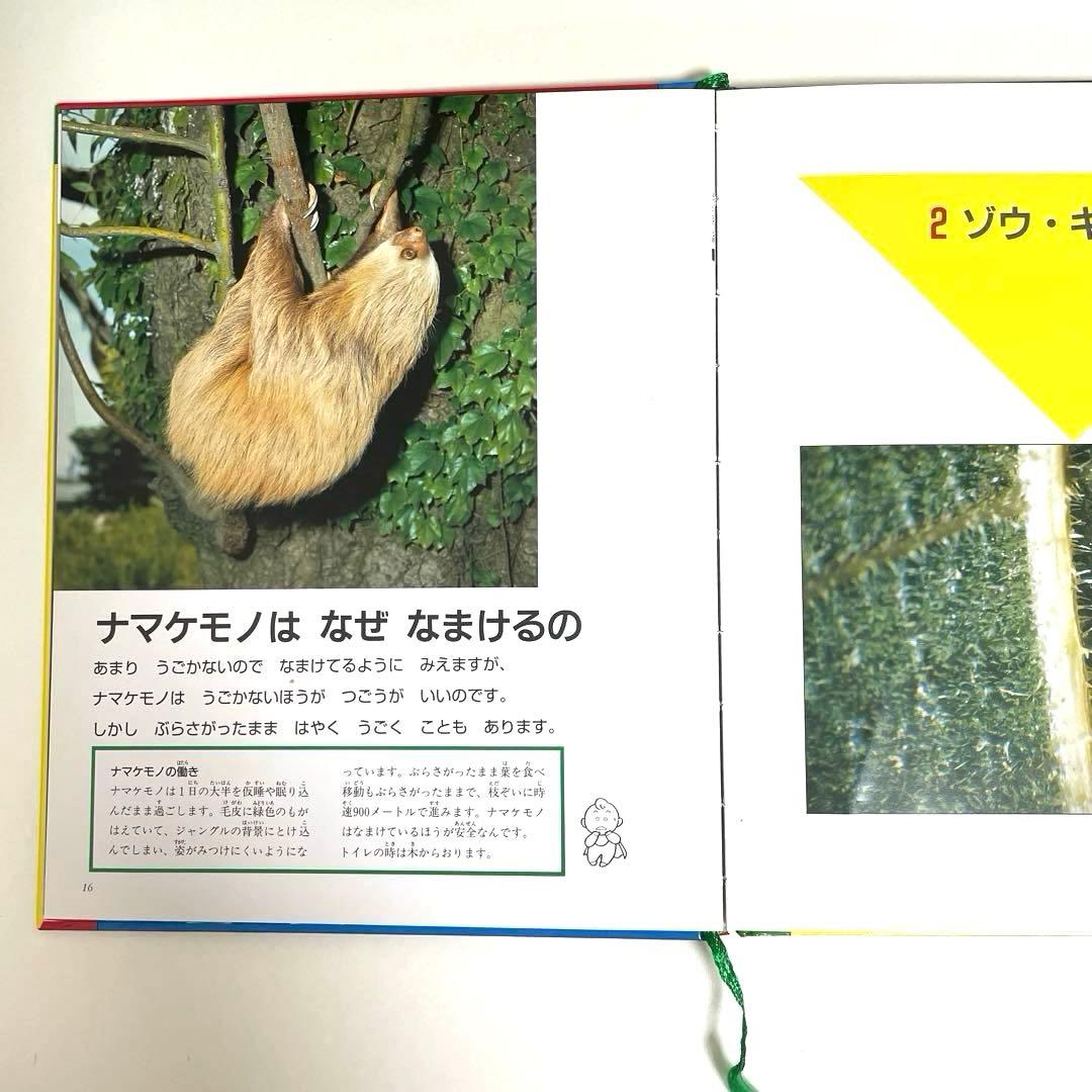 【美品】家庭保育園　なぜなにブック　全22巻セット