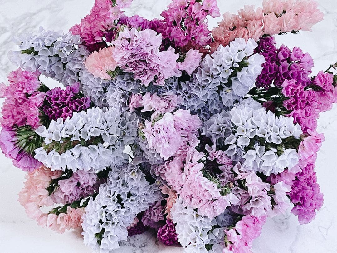 スターチスドライフラワー❣️ニュアンスカラフルmix✨短め30本