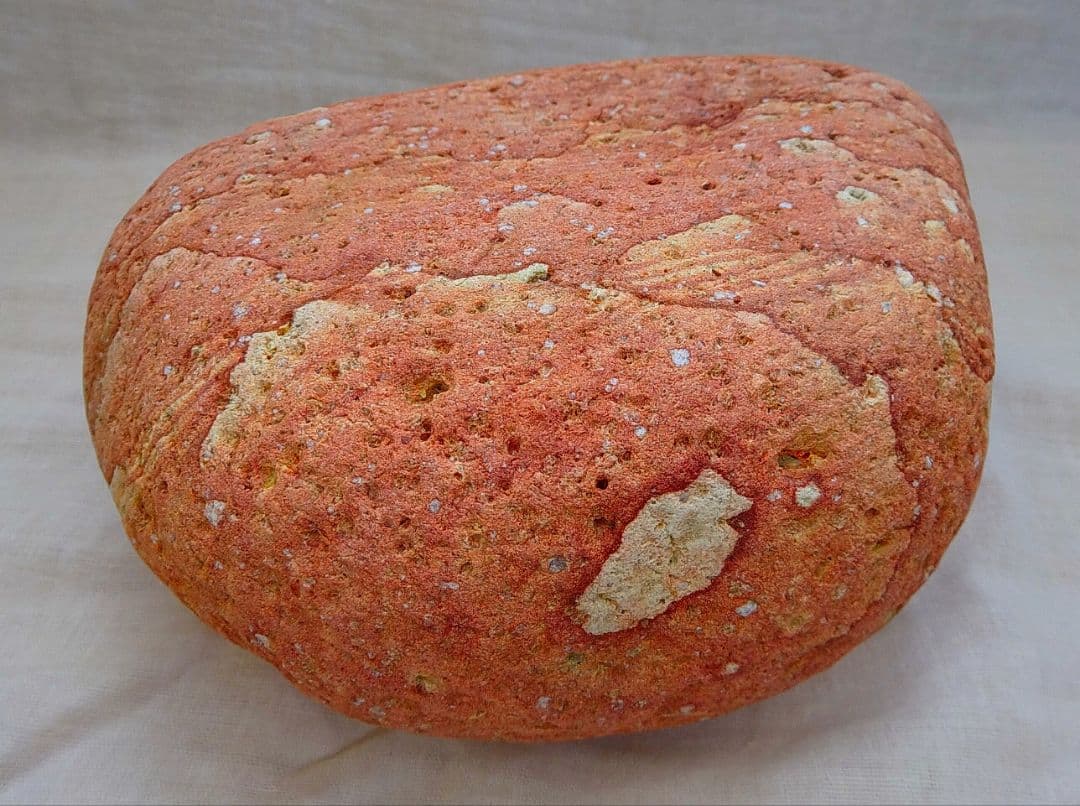 超レア!!姫川薬石赤虎(14)